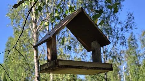A birdhouse hangs from a tree branch, providing a cozy home for birds Stock Footage 344894138