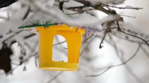 Birdhouse. HD Stock Footage 10699717