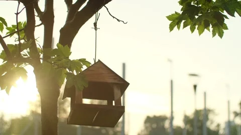 Birdhouse hung on tree. Hand made bird box swinging in wind on sun down, wood Stock Footage 251734022