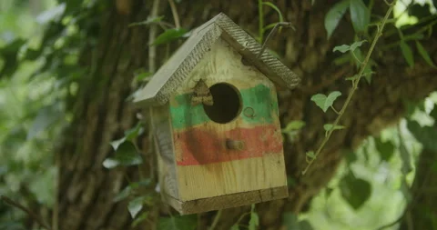 Birdhouse With A Moth In The Woods 스톡 동영상 246848256