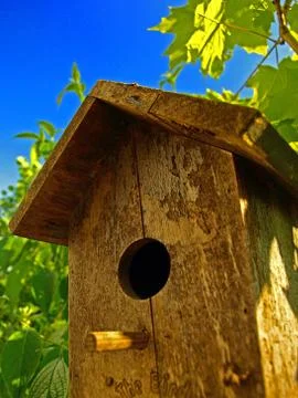 Birdhouse Stock Photos