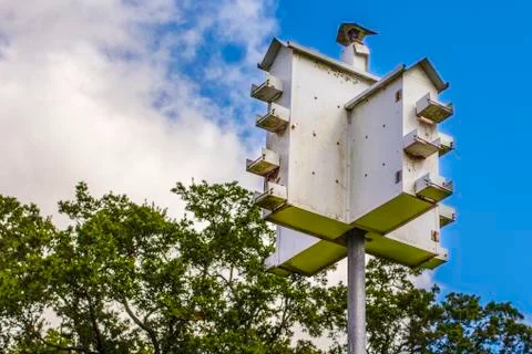 Birdhouse Stock Photos