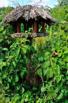 Birdhouse Stock Photos