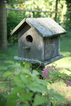 BIRDHOUSE Stock Photos