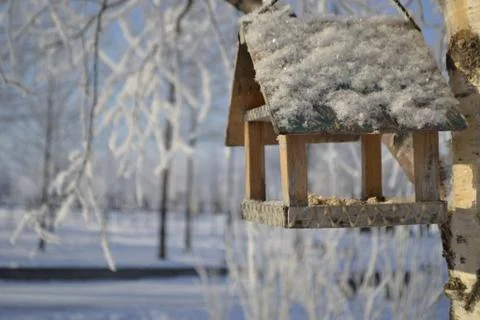 Birdhouse Stock Photos