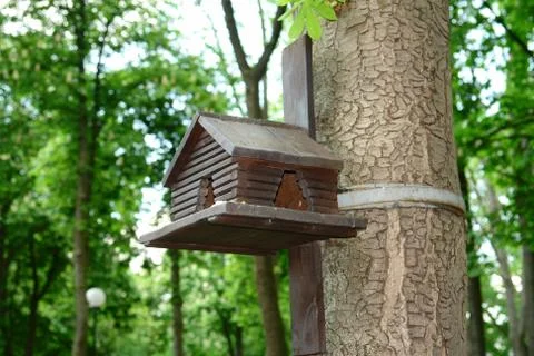 Birdhouse Stock Photos