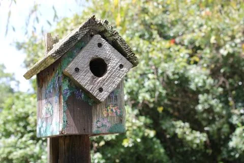 Birdhouse Stock Photos
