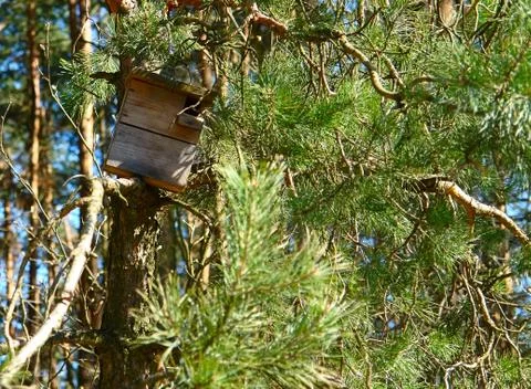 Birdhouse Stock Photos