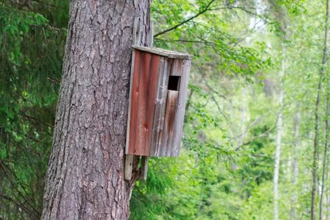 Birdhouse Stock Photos