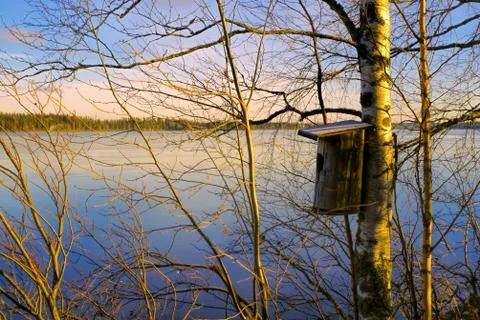 Birdhouse Stock Photos