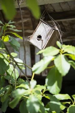 Birdhouse Stock Photos