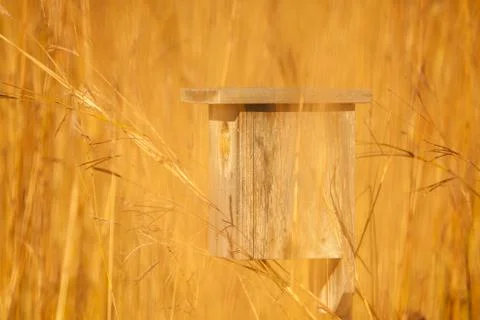 Birdhouse Stock Photos