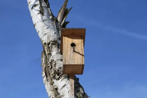 Birdhouse Stock Photos