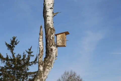 Birdhouse Stock Photos