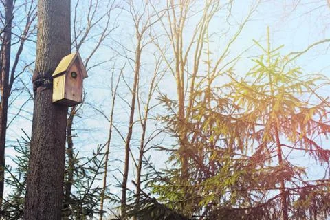 Birdhouse Stock Photos