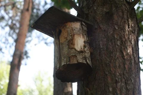 The birdhouse Stock Photos