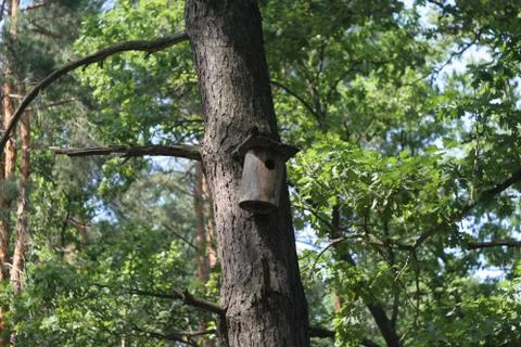 The birdhouse Stock Photos