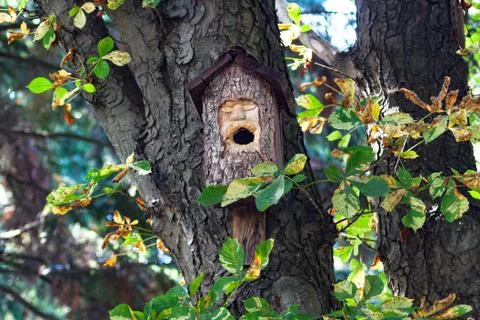 The birdhouse Stock Photos