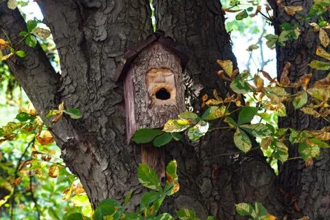 The birdhouse Stock Photos