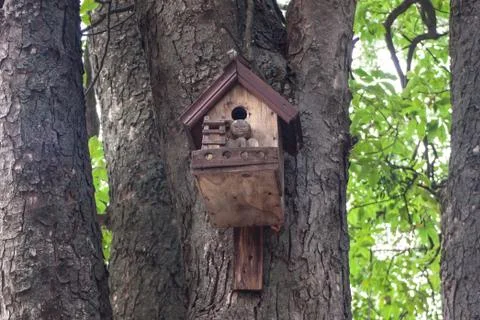 The birdhouse Stock Photos