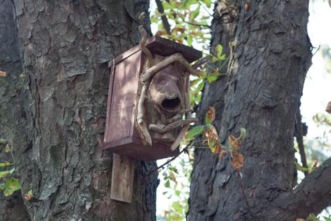 The birdhouse Stock Photos