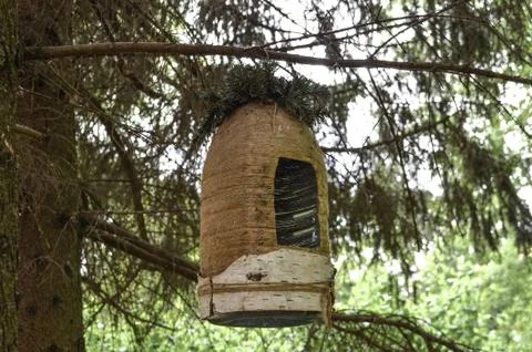 Birdhouse Stock Photos