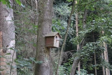 Birdhouse Stock Photos