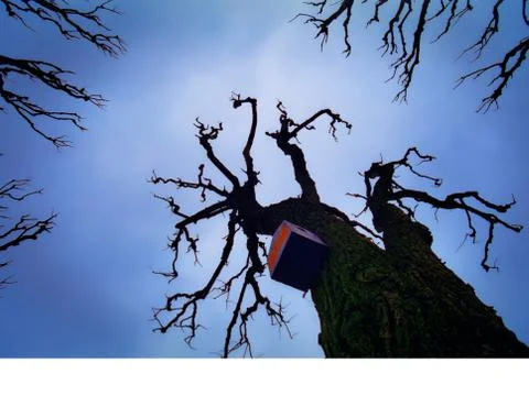 Birdhouse Stock Photos