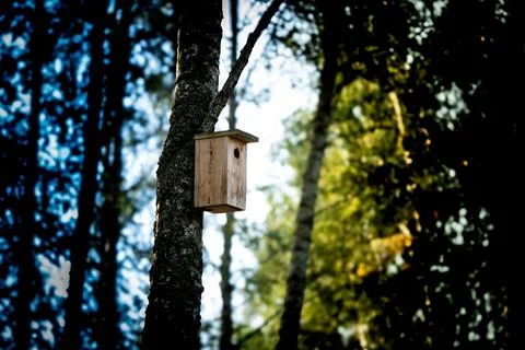 Birdhouse Stock Photos