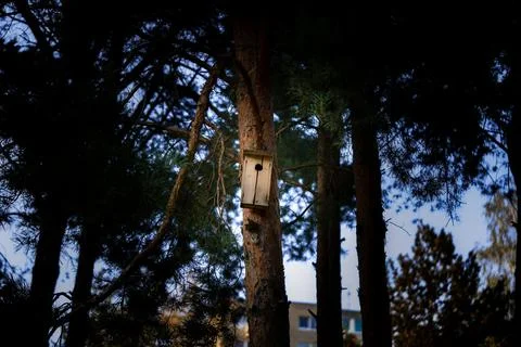 Birdhouse Stock Photos
