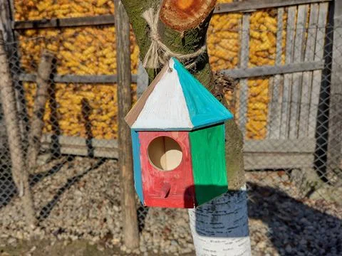 Birdhouse placed on a tree trunk 库存照片