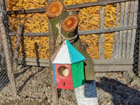 Birdhouse placed on a tree trunk Fotos Stock