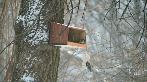 Birdhouse in snowfall 3 Stock Footage 743719