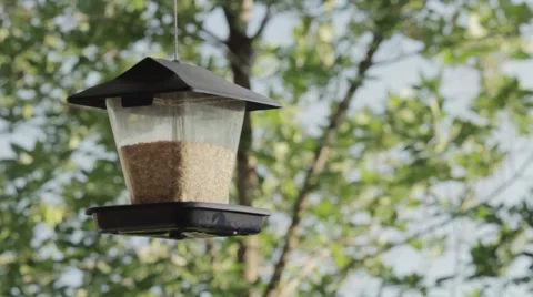 Birdhouse Swinging Stock Footage 47708292