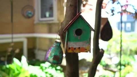 Birdhouse Swinging in the Wind Stock Footage 196983813