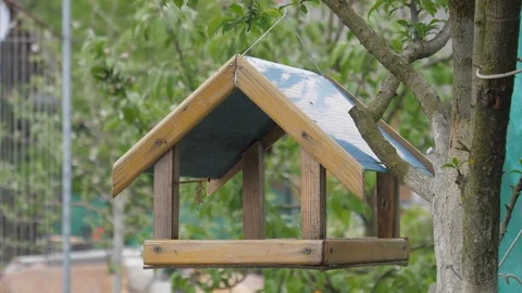 Birdhouse on a tree for birds Stock Footage 108395271