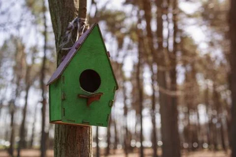 Birdhouse on the tree , close up view . Copy space Stock Photos