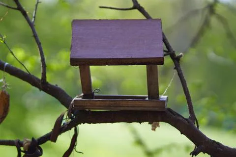 Birdhouse on a tree in the park Stock Photos