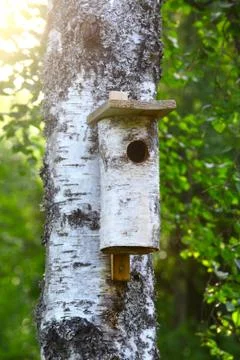 Birdhouse in tree Stock Photos