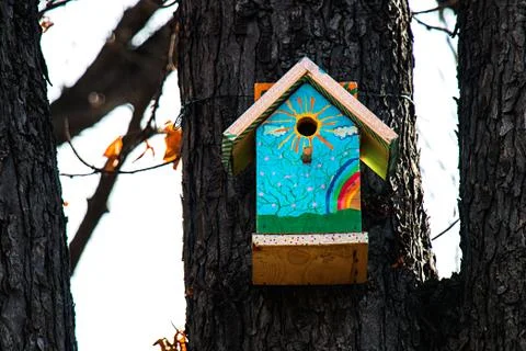 Birdhouse on a tree Stock Photos