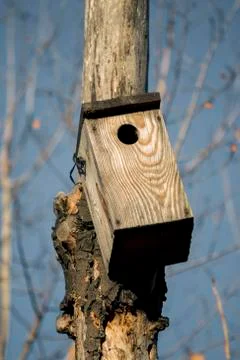 Birdhouse in a tree Stock Photos