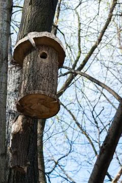 The birdhouse on the tree Stock Photos