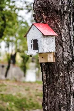 Birdhouse on a tree Stock Photos