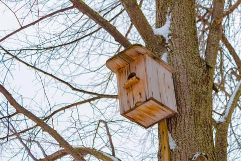 Birdhouse on a tree Foto stock
