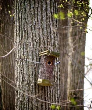 Birdhouse on Tree Stock Photos