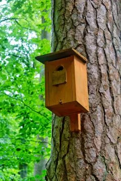 Birdhouse on a tree Fotos Stock