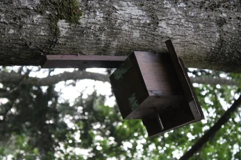 Birdhouse on a tree. Stock Photos