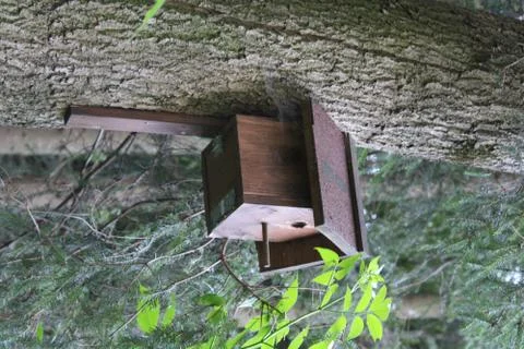 Birdhouse on a tree Stock Photos