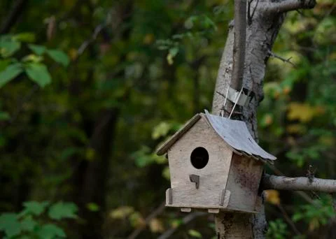 Birdhouse on a tree Stock Photos