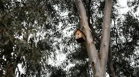 Birdhouse on a tree Foto stock